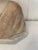 Antique Victorian Alabaster Bust, 1860 For Sale - Image 9 of 14