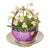 Easter Spring Sea Shell Floral Arrangement For Sale