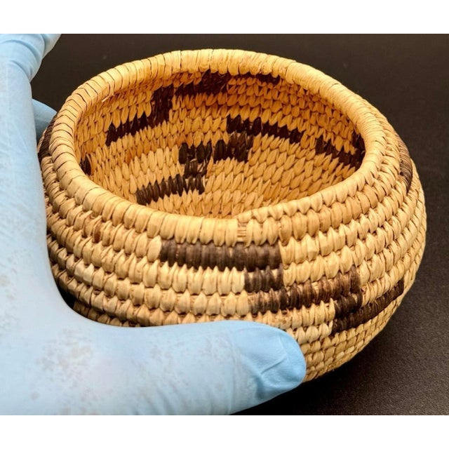 1930s Native American Papago Style Hand Woven Lidded Coil Basket. Tohono O’odham Style For Sale - Image 12 of 12