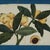 Paper Set of Nine Antique Chinese Botanical Fruit Paintings on Pith Paper For Sale - Image 7 of 18