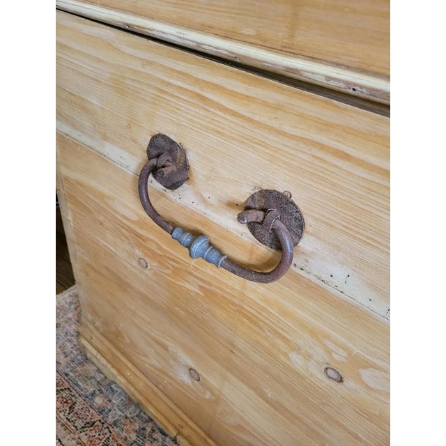 Over-Sized 19th Century German Scrubbed Pine Domed Trunk Blanket Chest For Sale - Image 11 of 13