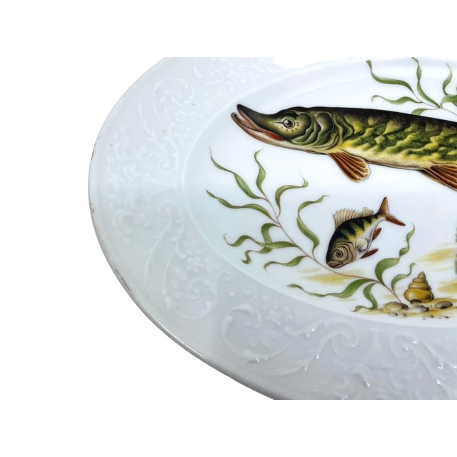 Limoges, France Antique Pike Fish Limoges Made in France Platter For Sale - Image 4 of 12