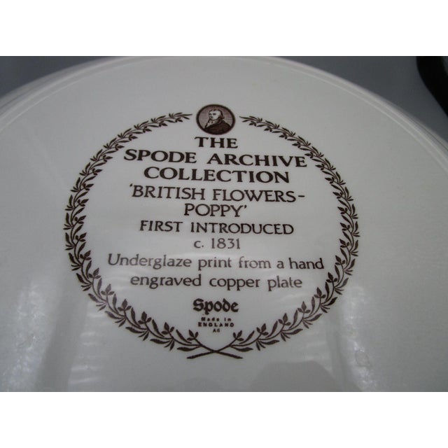 2000 - 2009 Spode Archive Collection British Flowers Poppy 12" Pasta Serving Bowl Floral Rimmed Made in England Vintage 2007 For Sale - Image 5 of 7