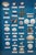 Late 20th Century Nautical Ocean Seashell Coral Fish Theme Shadowbox Display Fossil Specimens 25" For Sale - Image 4 of 11