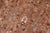 Floral 1990's Pak-Persian Dark Tan/Tan Wool Rug - 9'3'' X 11'10'' For Sale - Image 4 of 9