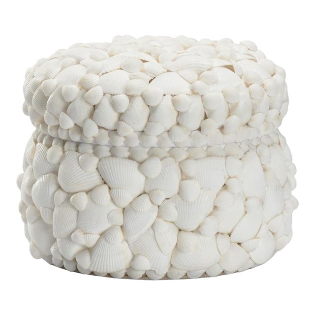 Round White Shell Box For Sale
