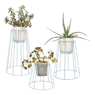 Pigeon Blue Cibele Plant Stands by OK Design, Set of 3 For Sale
