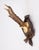 A fine antique roe deer antler horns hunting trophy on a carved black forest plaque, circa 1900. The plaque is hand carved...