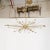 Contemporary Satin Finish Brass Sputnik Chandelier by Marcelo Bessa For Sale - Image 3 of 10