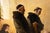 Museum Quality Painting “Martin Luther at Magdeburg” by Wilhelm Lindenschmit For Sale - Image 10 of 18