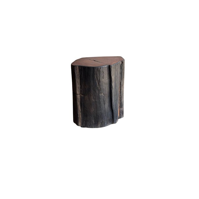 Contemporary Sculptural Side Table Crafted From Ulin Iron Wood, Modern Organic For Sale - Image 3 of 9