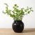 Elevate your décor with this Mid-Century Vintage Black Porcelain Jar, standing at approximately 10 inches in height. This...