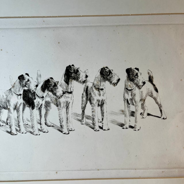 Fantastic original etching by unknown artist titled, All to the Good, of five fox terrier dogs. Matted and ready to frame.
