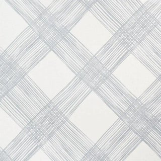 Sample - Schumacher X Porter Teleo Traverse Fabric in Linen For Sale