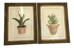 Johann Wilhelm Hand Colored Mezzotints - A Pair