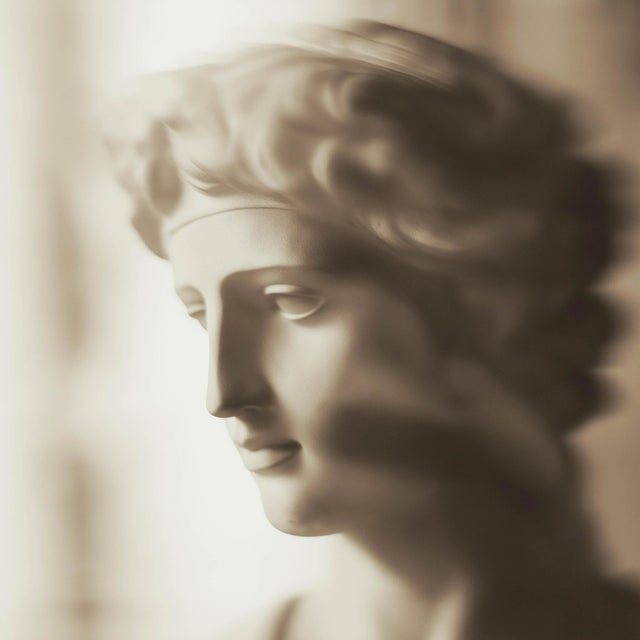 Sienna Set of 18 Blurred Antique Profiles — Archival Prints of Restored Antique Photographs For Sale - Image 8 of 17