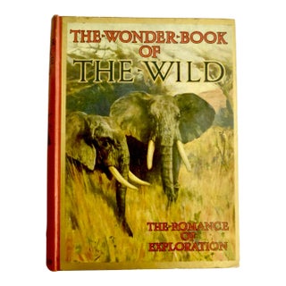 1920s The Wonder Book of the Wild, Illustrated For Sale