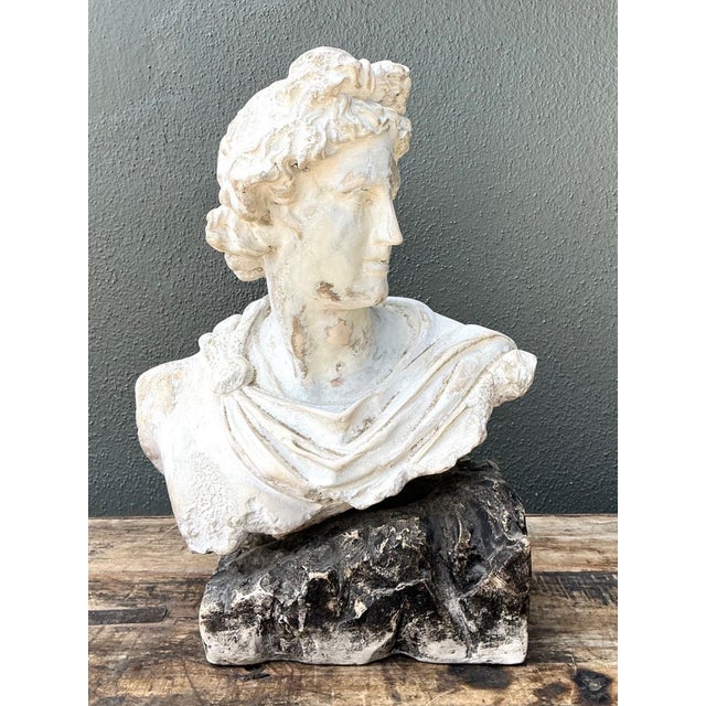 Vintage Cast Stone Bust of Apollo Belvedere For Sale - Image 9 of 18