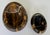 Stylish Revelation Modern Michelangelo Marble Swaddle Bowls Set of 2, black brown ad white marble, showroom floor samples...