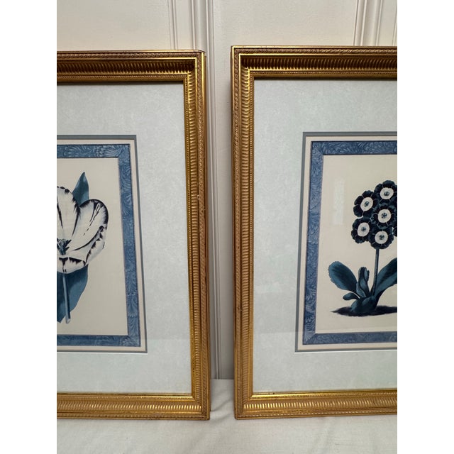 Metal Vintage Traditional Victorian Blue Floral Botanical Gold Framed Reproduction Prints, a Pair For Sale - Image 7 of 17