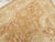 Galerie Shabab Collection Early 20th Century Indian Agra Accent Rug For Sale - Image 4 of 6