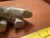 2000 - 2009 2000s Carved Soap Stone Bear by Ben Saclamana, Signed, Inuit, Alaska. Soapstone. For Sale - Image 5 of 8