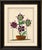 Title: Anatomy of the Sarracenia or Pitcher Plant, Thornton Botanical Print, 1802 : A superb original hand-colored and...