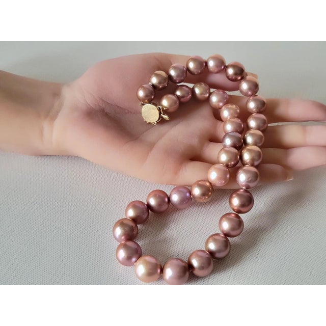 Natural Freshwater Edison Dark Pink Pearl Necklace With 14k Gold Clasp For Sale - Image 13 of 15