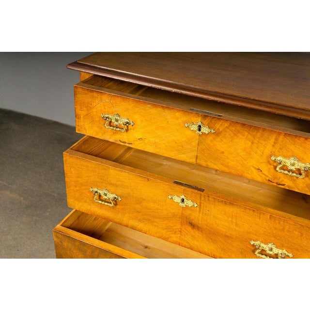 Gründerzeit Chest of Drawers For Sale - Image 16 of 18