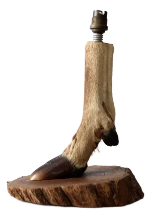 Vintage European Mounted Deer Hoof Table Lamp