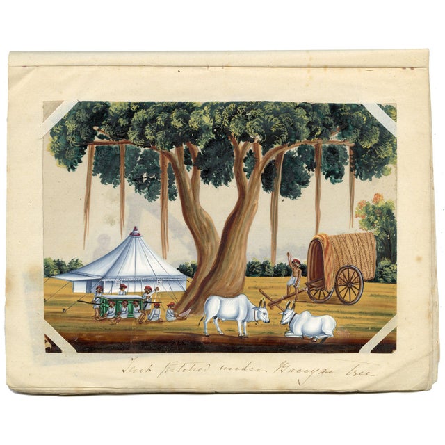Paper Indian Company School, Tent Pitched Under Banyan Tree, 1800s, Gouache on Paper For Sale - Image 7 of 9