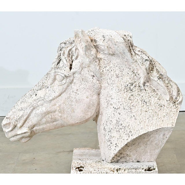 Early 20th Century English Equestrian Bust of a Horse's Head For Sale In Baton Rouge - Image 6 of 10