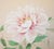 Textile "Peony" by Unryū, Showa Era Large Japanese Painted Silk Scroll Painting For Sale - Image 7 of 15