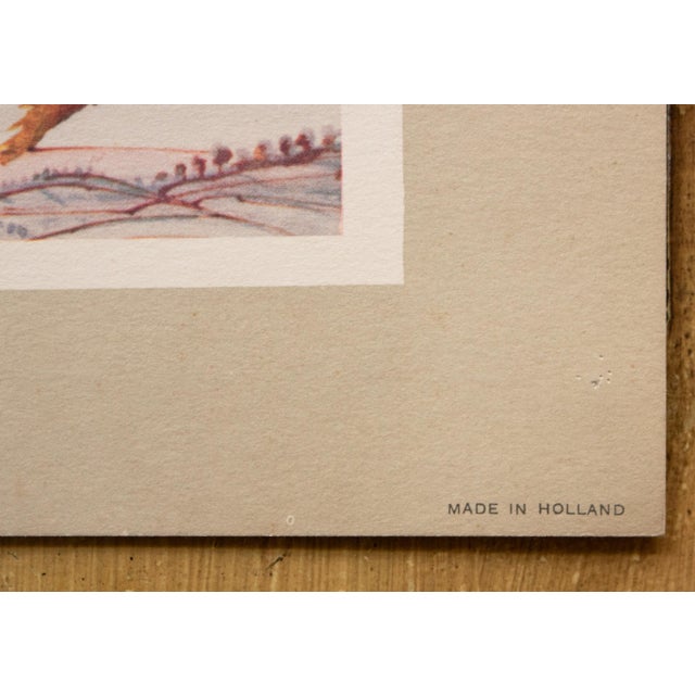 Printmaking Materials 1951 After Dali, First Edition Period "Butterflies" Offset Lithograph, the Mrs. Albert D. Lasker Collection For Sale - Image 7 of 11