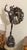 Gray Italian Mecury Statue in Bronze For Sale - Image 8 of 16