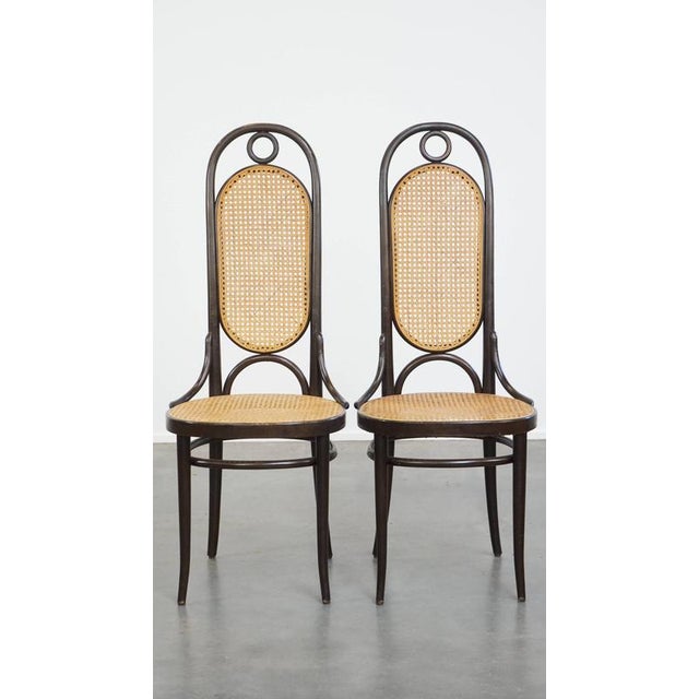 Vintage Bentwood Chairs by Michael Thonet, Set of 4 For Sale - Image 3 of 18