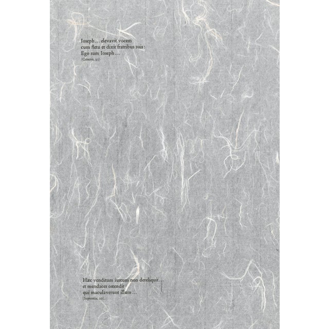 1960s 1967 Salvador Dalí Biblia Sacra "Ioseph Et Fratres in Egypto" (Joseph and His Brothers in Egypt) For Sale - Image 5 of 10