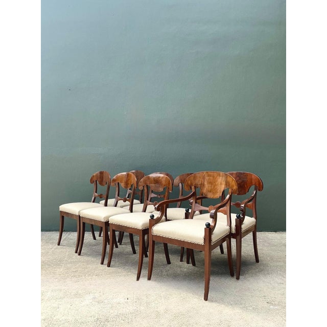 19th Century Vintage Biedermeier Flame Dining Chairs - Set of 8 For Sale - Image 5 of 17