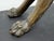 Antique Medieval Bronze Sculpture of a Lion For Sale - Image 18 of 18