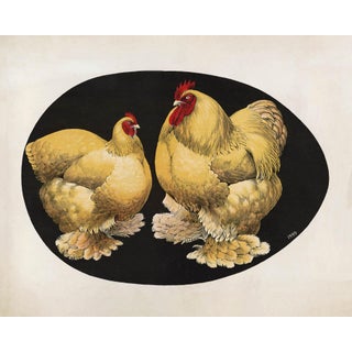 Vintage Reproduction Victorian Chicken Print For Sale