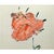 Contemporary Set of 3 - Organic Modern Minimalist Flower Studies | Botanical Paintings | Herbarium Wall Art | Unframed For Sale - Image 3 of 7
