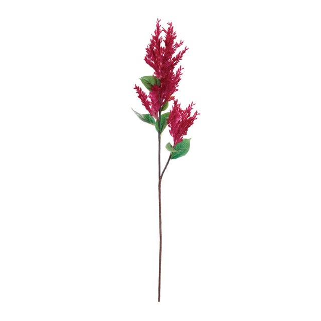 Add a burst of vibrant color and texture to your space with this set of 2 Bright Red Astilbe Floral Sprays. Featuring...