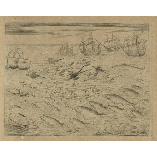 De Bry, Maritime Life and Flora, 1601, Paper For Sale - Image 3 of 9
