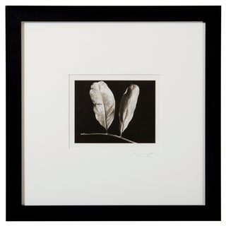 Platinum Print - Two Leaves by Ryuijie For Sale