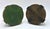 Italian Florentine Wooden Bases, 19th Century For Sale - Image 3 of 5