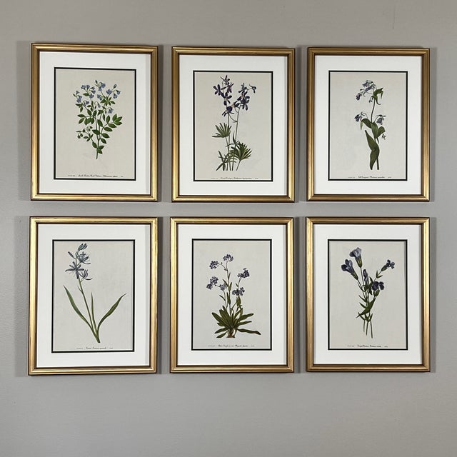 Wood Original Vintage Botanical Prints Framed Set of 6 - Authentic 1953 Prints For Sale - Image 7 of 7