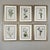 Wood Original Vintage Botanical Prints Framed Set of 6 - Authentic 1953 Prints For Sale - Image 7 of 7