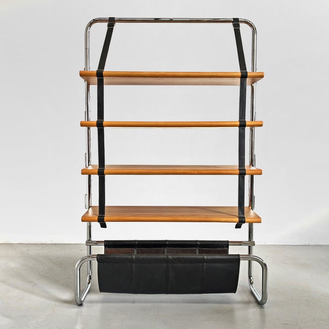 Jumbo Line Bookcase by Luigi Massoni for Poltrona Frau, 1970s For Sale - Image 17 of 18
