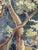 Vintage French Aubusson Tapestry, 1940s For Sale - Image 17 of 18