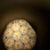 Wood Handcrafted Wooden Kaleidoscope Made Natural Wood Grain Mid Century For Sale - Image 7 of 16